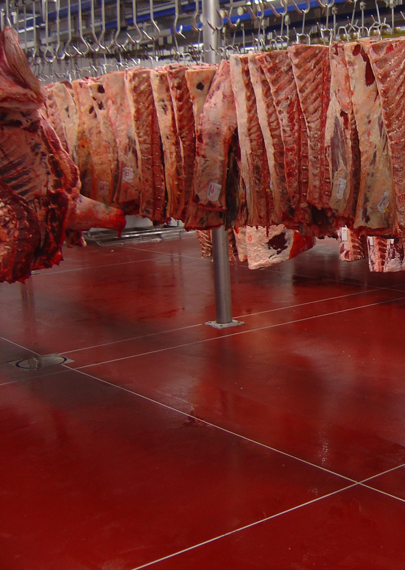 Pavimenti in Resina per Alimentare: Igiene e Durabilità al Top