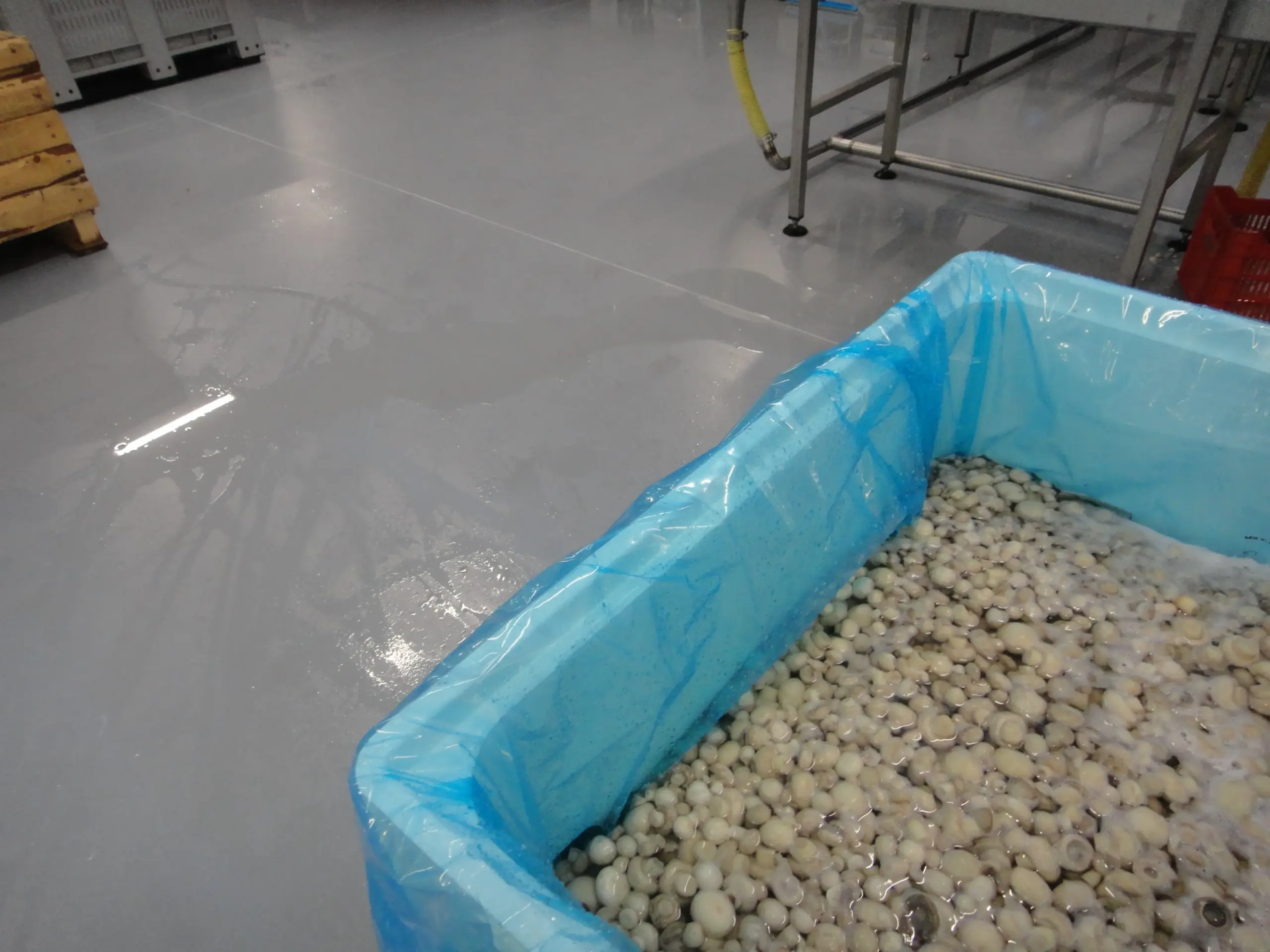 Industria trasformazione alimentare consorzio funghi