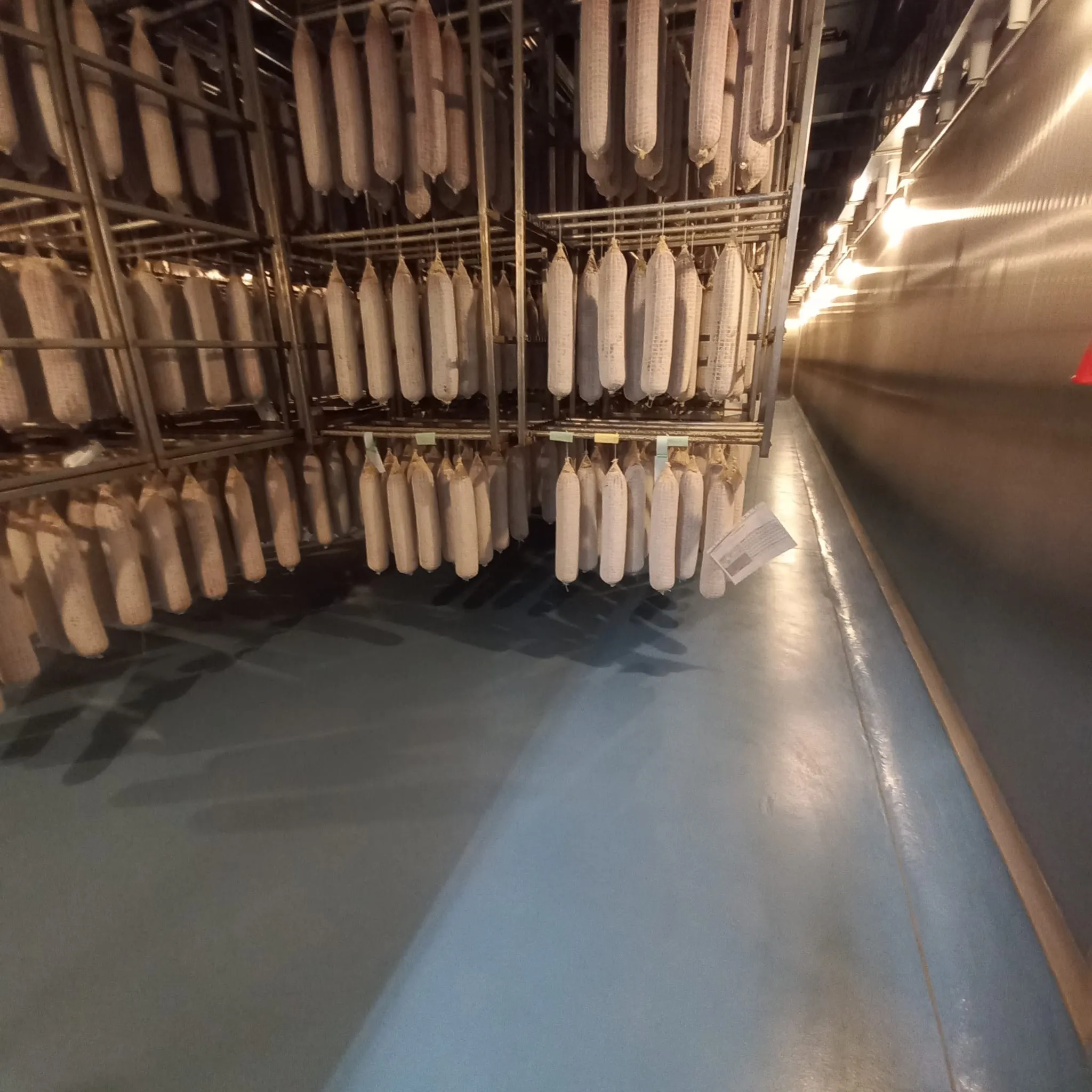 Pavimenti in resina per celle conservazione salumi