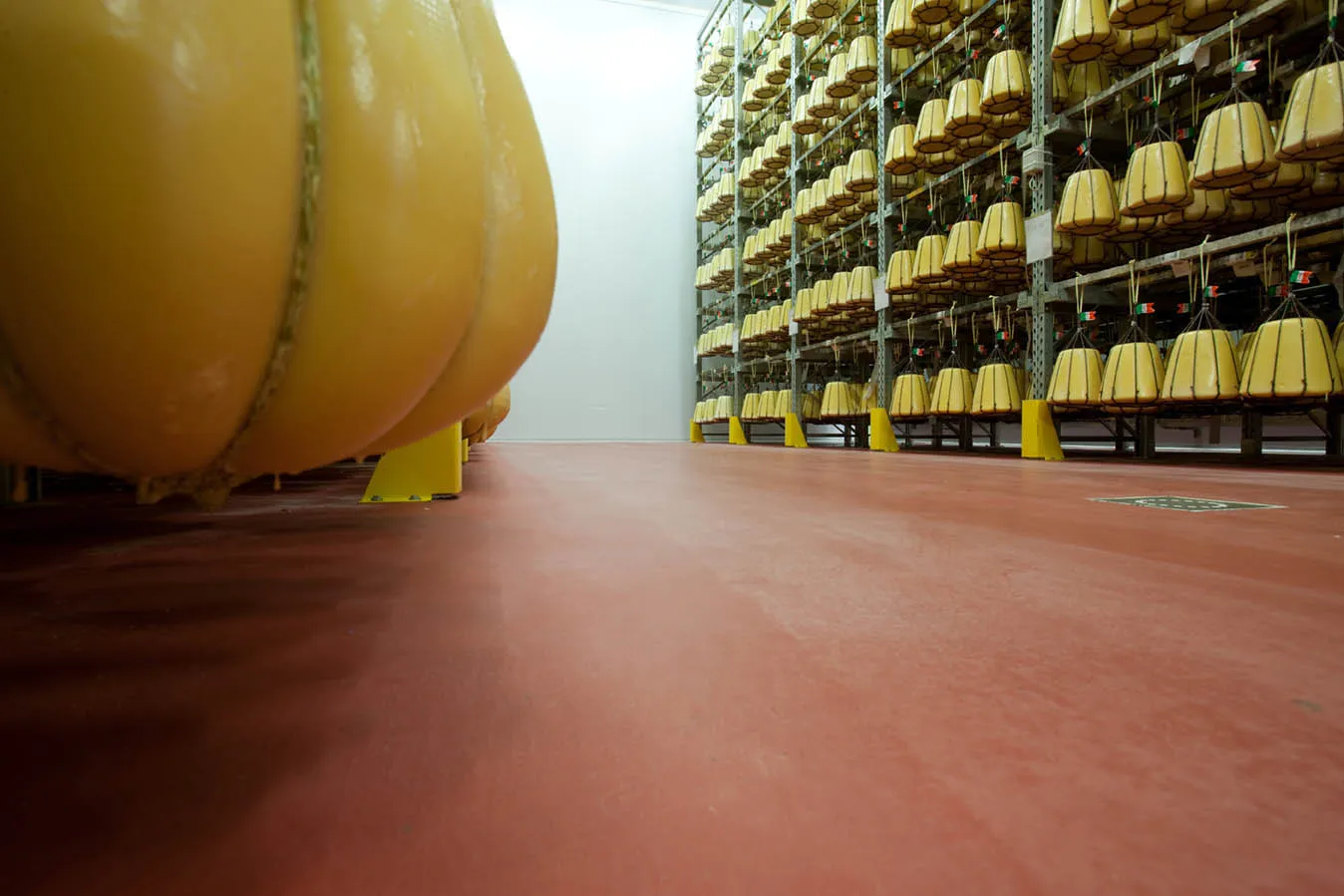 Pavimenti in resina per settore lattiero-caseario